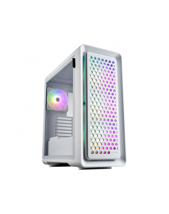Fsp/Fortron Cut593P White (POC0000205)