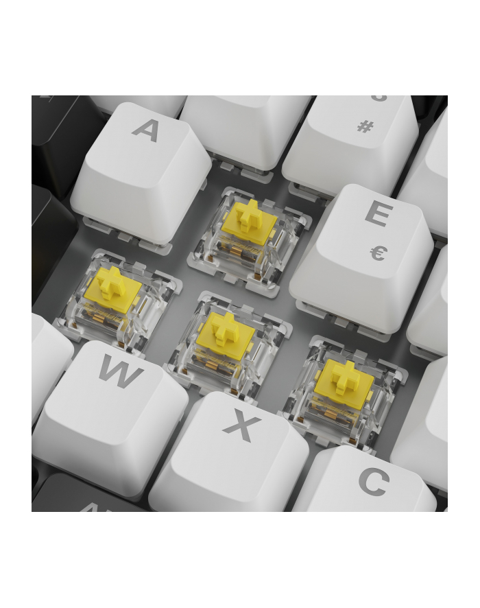 Sharkoon SGK50 S3 White, Gateron Yellow