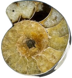 Amonit Oryginalny Pierścionek Srebro R 10-26 Unikat