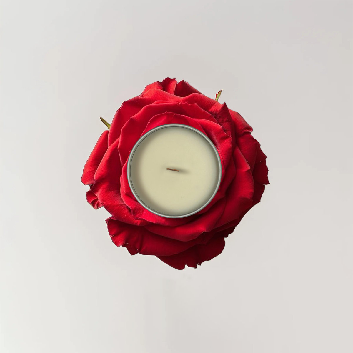 Świeca zapachowa Cashmere & Dark Rose