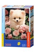 Puzzle 300 Pomeranian Puppy in Roses CASTOR - Castorland