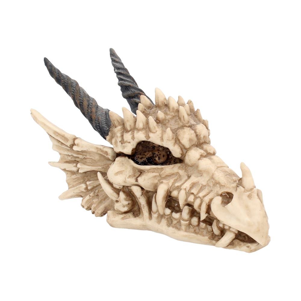 szkatułka DRAGON SKULL