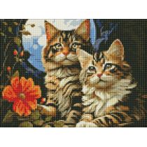 Ideyka Diamentowa mozaika - Magiczne kocięta 30x40cm