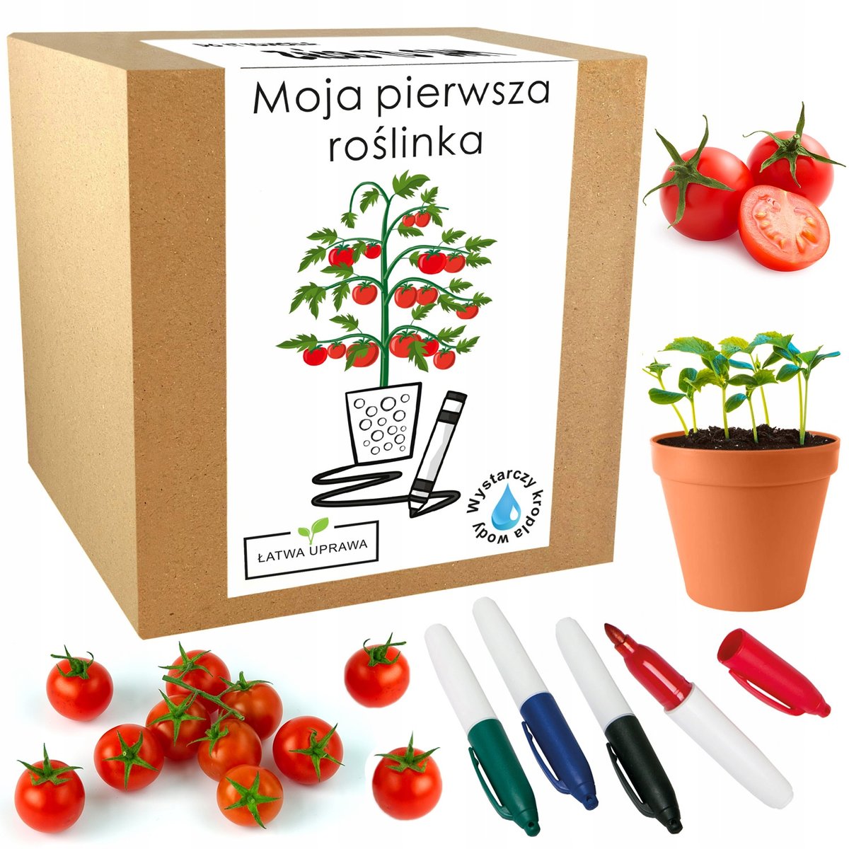 Prezent dla dzieci zestaw mały ogrodnik roślinka