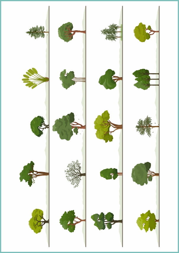 Tatuaże tymczasowe, zmywalne, collection of trees, drzewa,  format arkusz A4