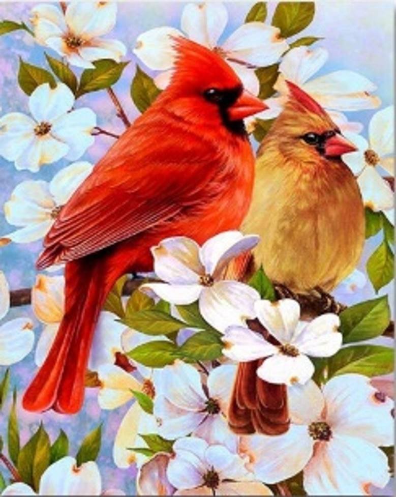 Norimpex, Mozaika Diamentowa, Ptaki Wśród Kwiatów