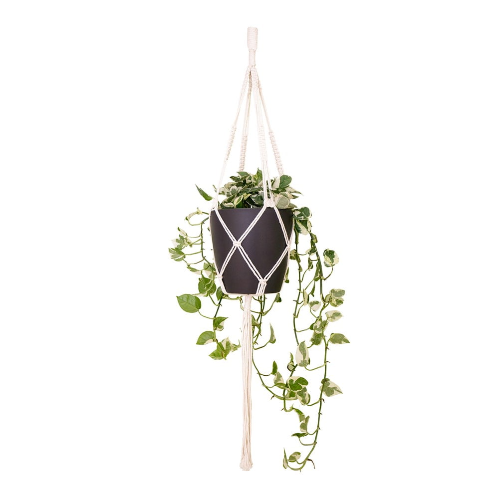 Tekstylny system do zawieszenia doniczki ø 13 cm (wysokość 100 cm) Macramé – Artevasi