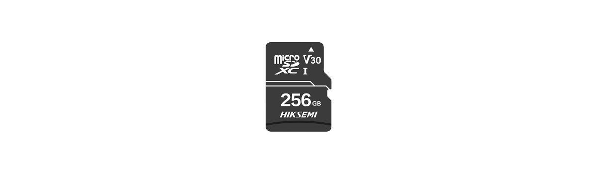 Micro SD HikSemi HS-TF-D1 Neo Home 256GB RAmSD256GD1HKS