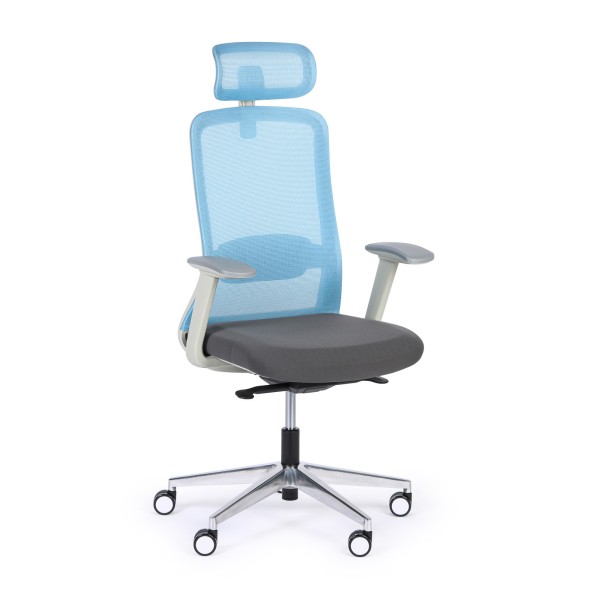 Krzesło biurowe JAMES, niebieski