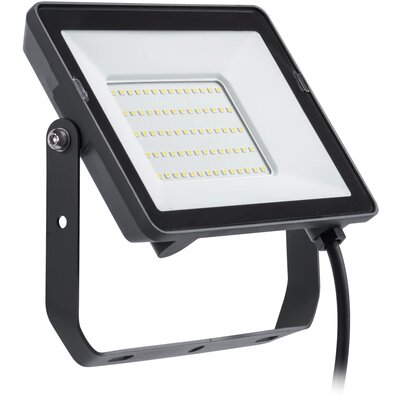Philips ProjectLine Floodlight spot 4 000 K 30W