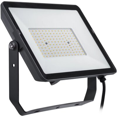 Philips ProjectLine Floodlight spot 4 000 K 100W