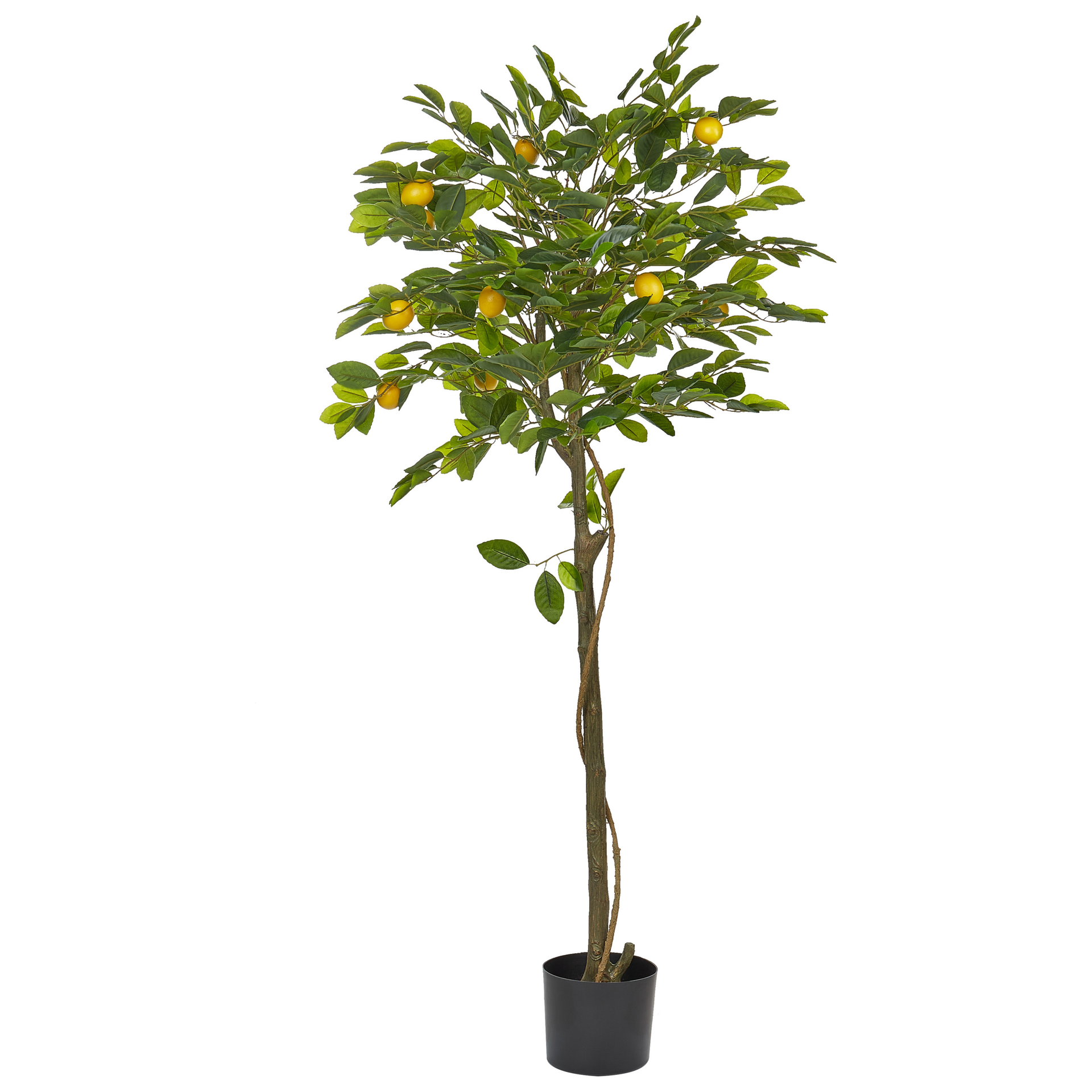Sztuczna roślina doniczkowa 156 cm LEMON TREE