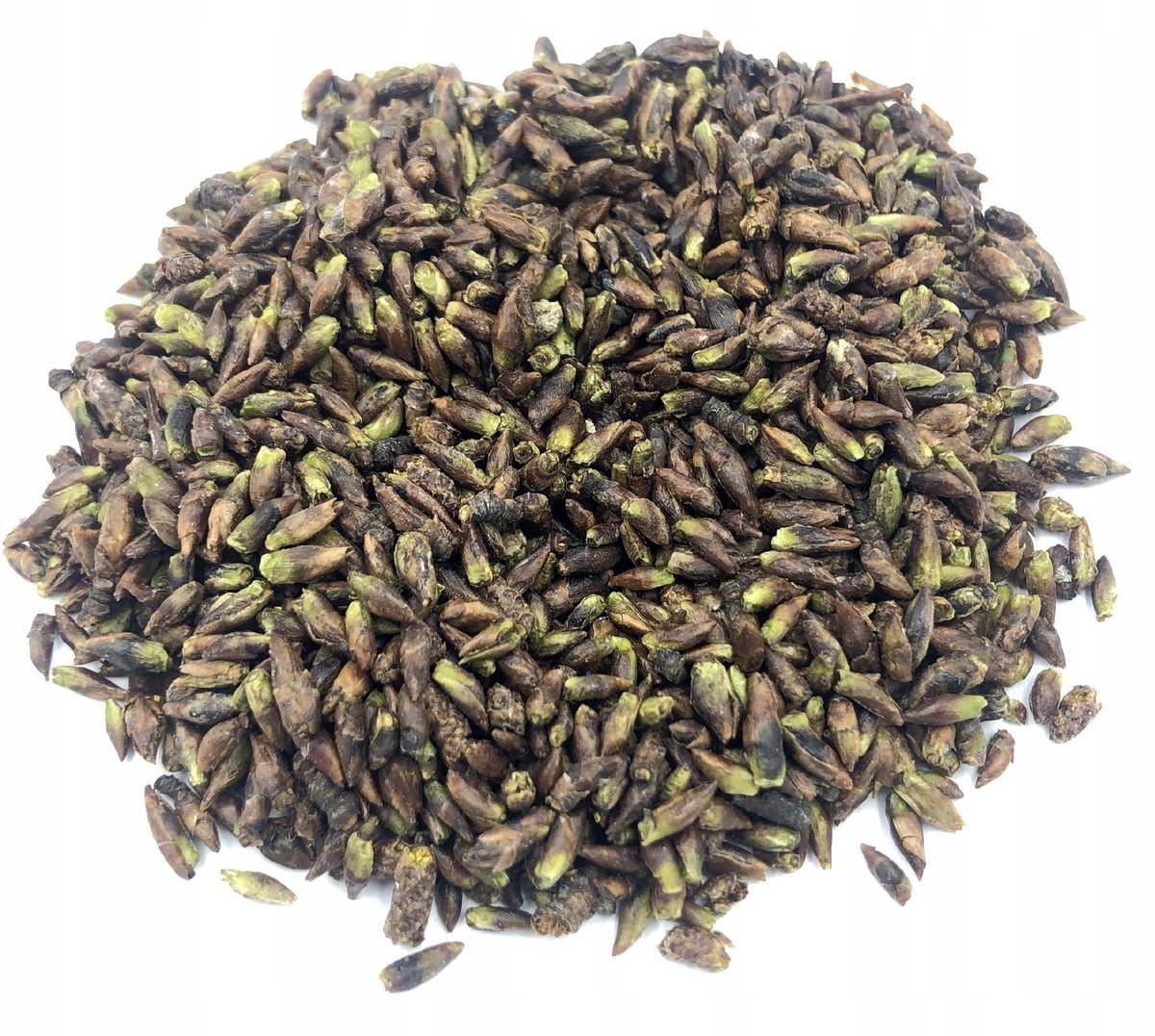 BRZOZA PĄCZKI BRZOZY GEMMOTERAPIA 1 KG NATURALNY