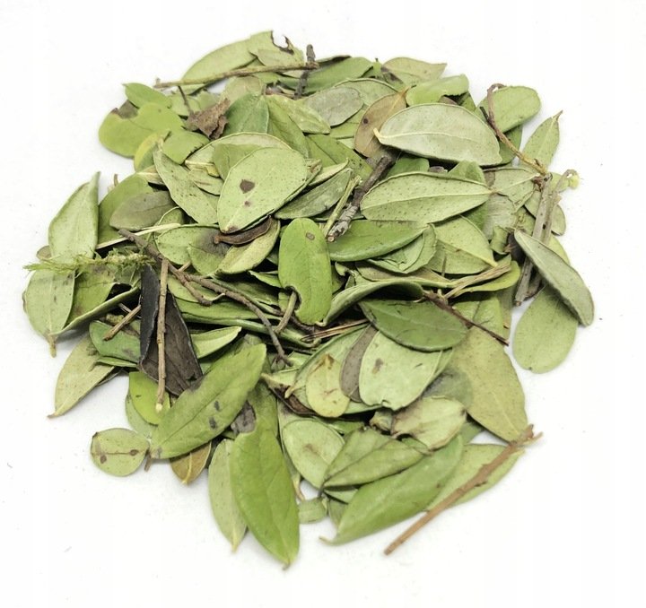 BRUSZNICA LIŚĆ BORÓWKI BRUSZNICY 250 G NATURALNY