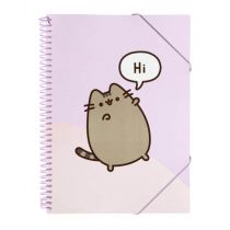 Skoroszyt A4 z gumką Pusheen CFA405