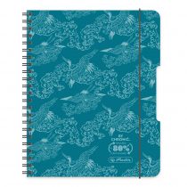 Herlitz Kołobrulion A5 Eco PP Colors turkus kratka 80 kartek 4 szt.