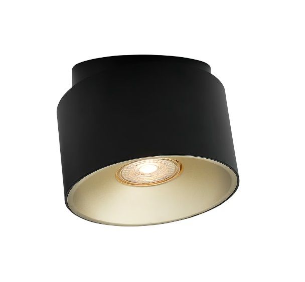 Lampa spot sufitowy Torone nordlux 2310460103