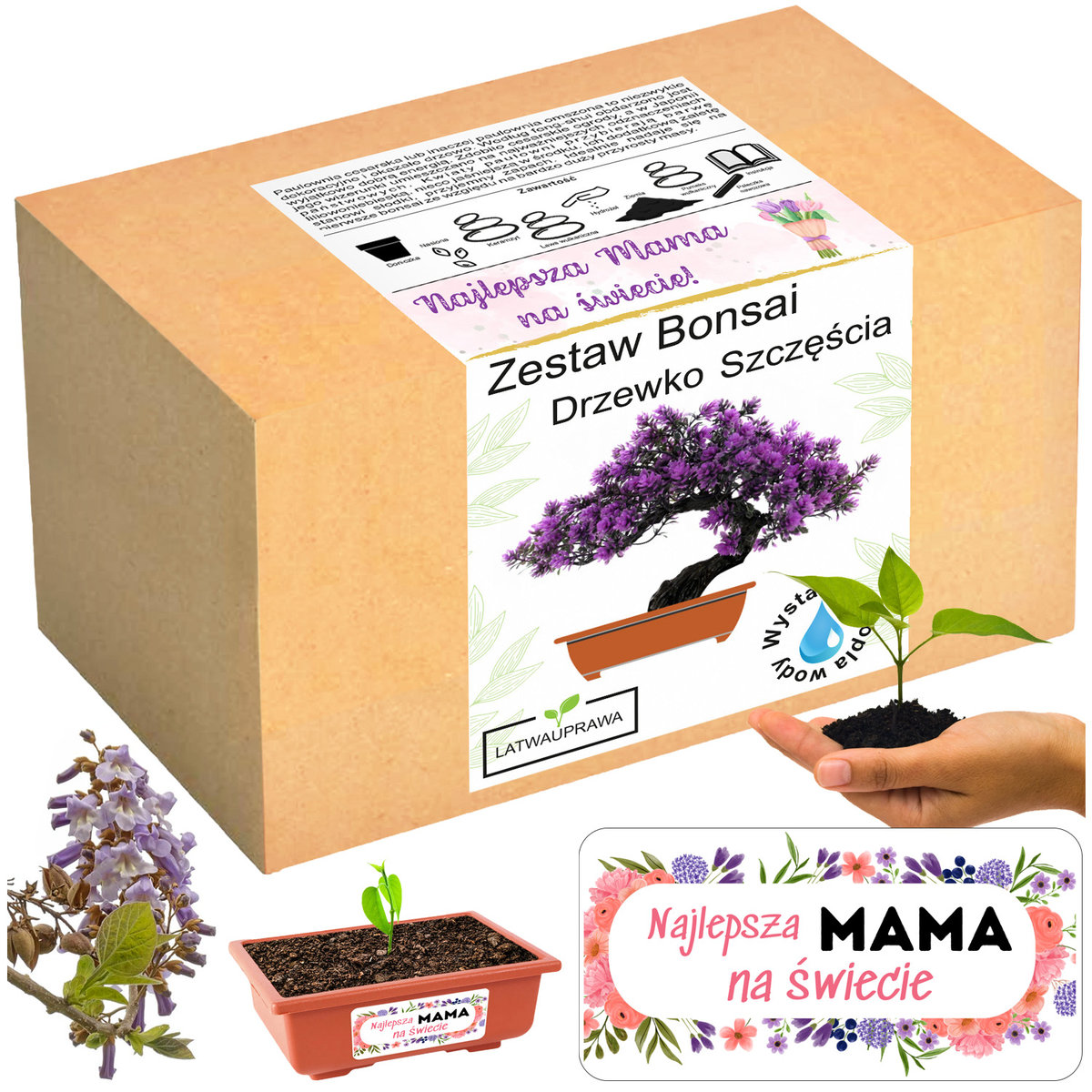 Prezent na Dzień Matki drzewko szczęścia bonsai prezent na dzień mamy róża