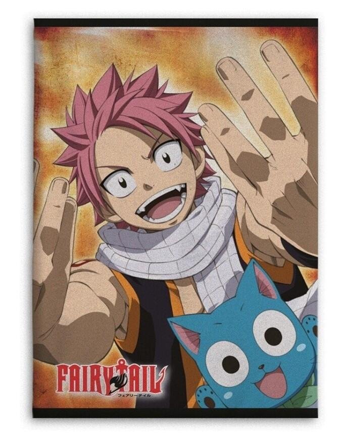 fairy tail - natsu & happy - koc polarowy 100x140cm