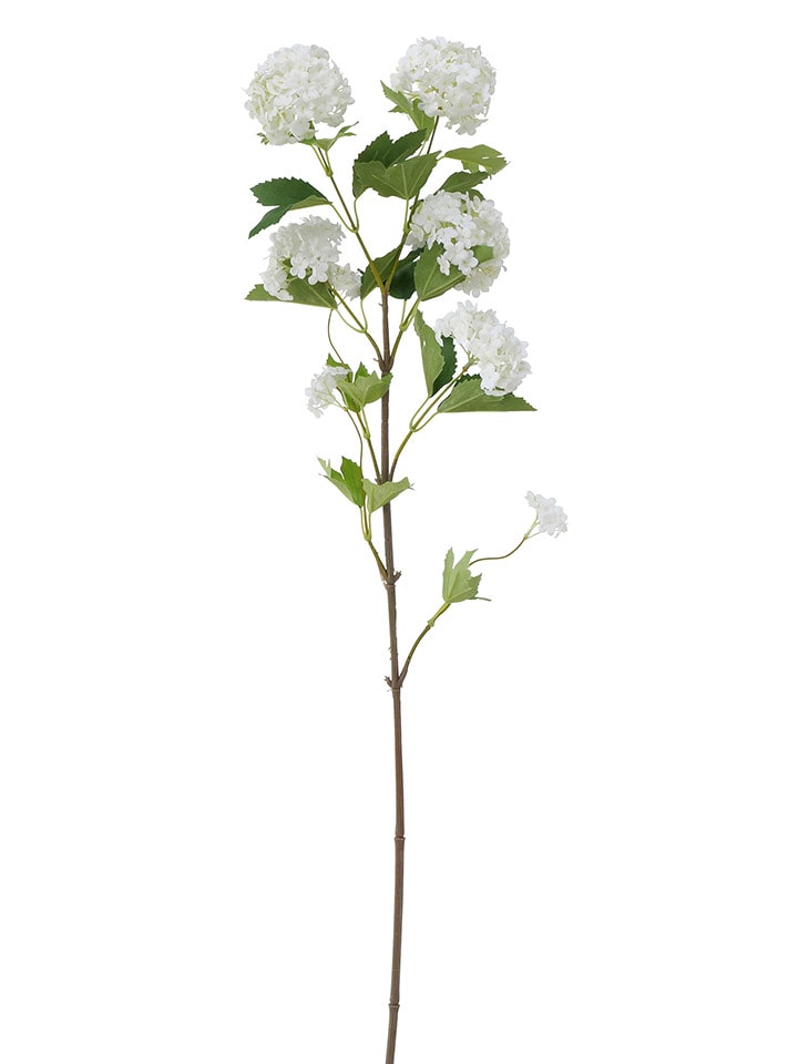 Boltze Dekoracyjny kwiat 