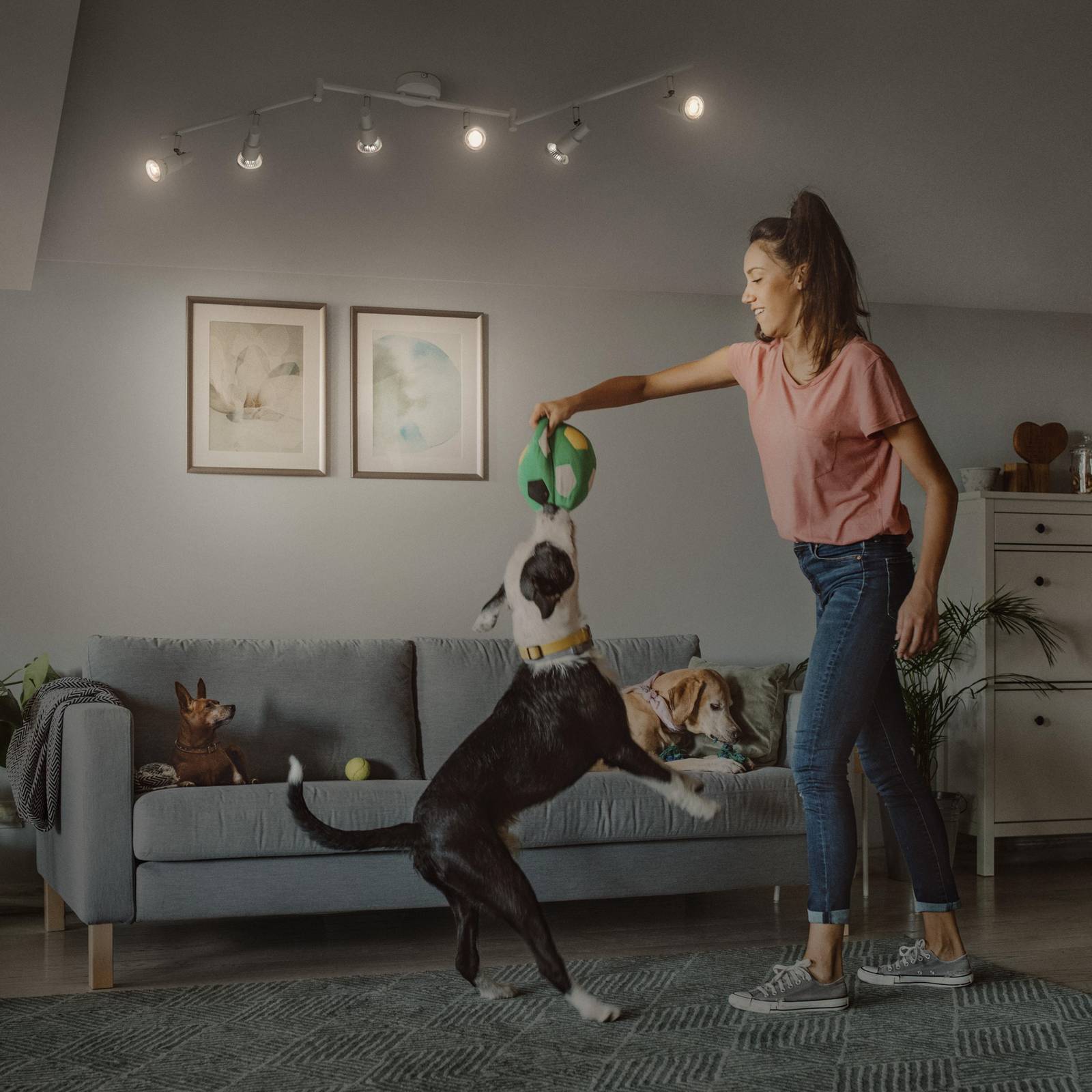 LEDVANCE Reflektor sufitowy LED GU10, 6-punktowy, biały