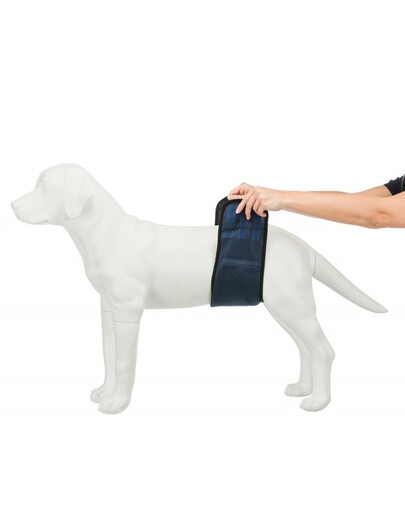 Trixie Pas na podbrzusze dla psa S-M 37-45 cm ciemnoniebieska