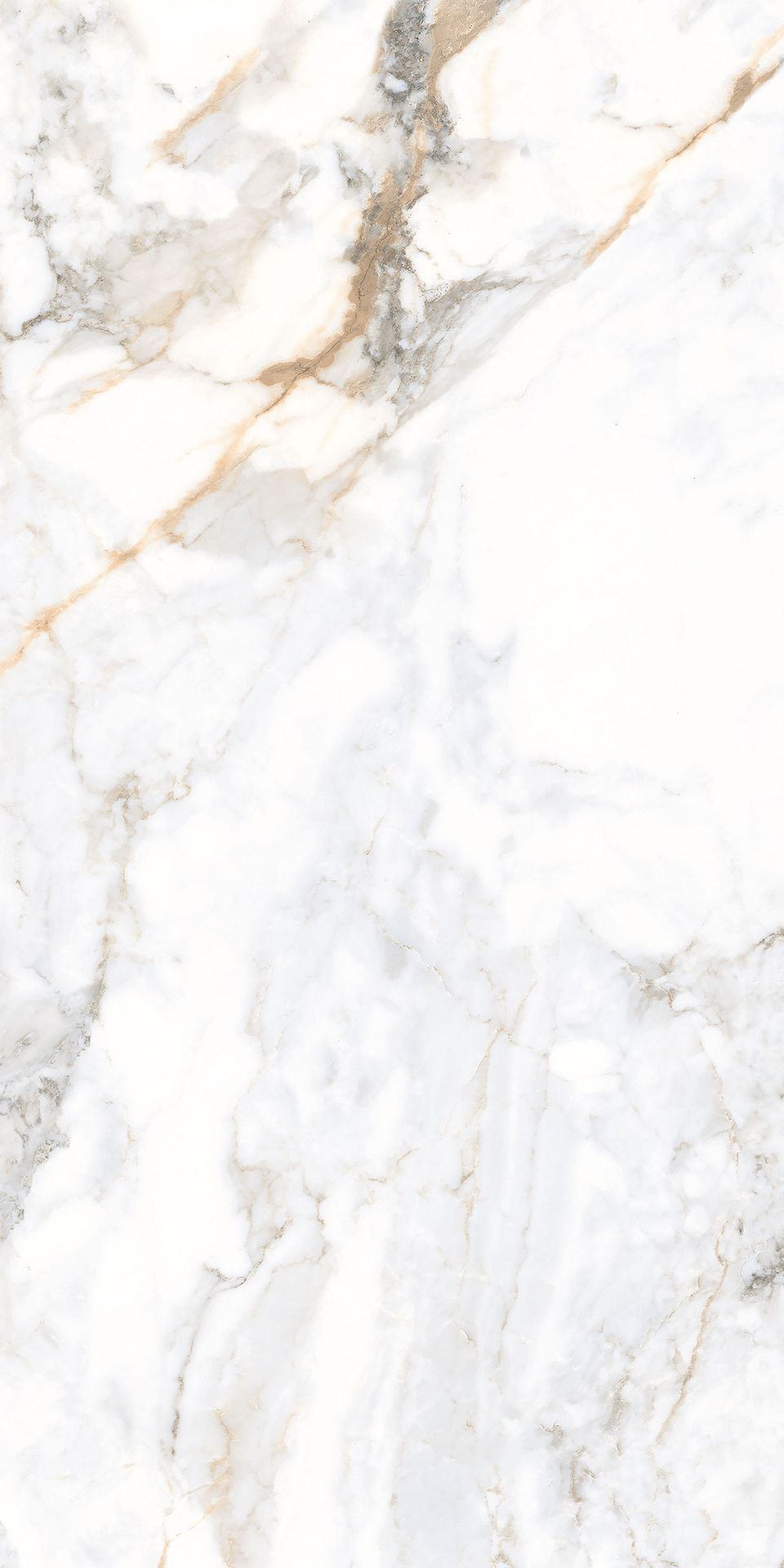 Gres Noble tesoro white polished rectified 60x120