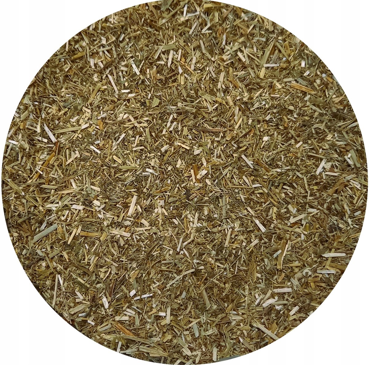 Lucerna siewna ziele lucerny siewnej suszone cięte susz MysticGarden 100 g