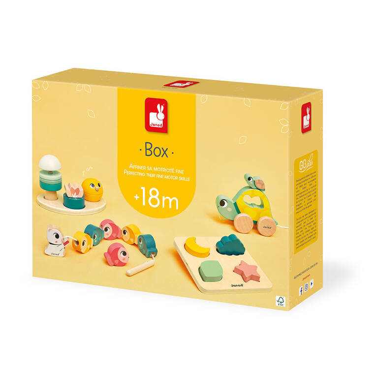 Zestaw zabawek edukacyjnych Box 18 m-cy, Janod