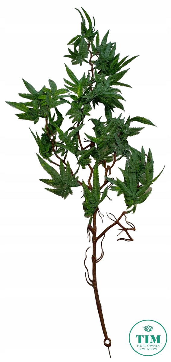 BLUSZCZ ZIELONY 90CM TYP 1