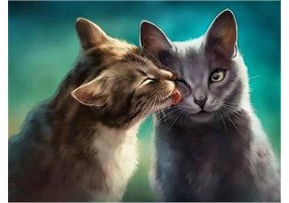 Diamentowa Mozaika Kocia Miłość  30x40