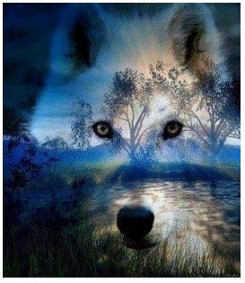 Diamentowa Mozaika Wilk Zjawa 30x40