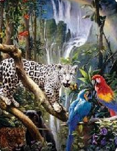 Diamentowa Mozaika Zwierzęta Pantery I Papugi 30x40