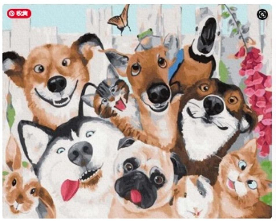 Diamentowa Mozaika Psy I Koty 30x40 Cm