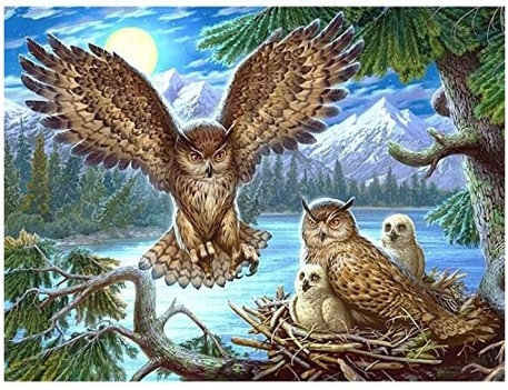 Diamentowa Mozaika Sowie Gniazdo 30x40