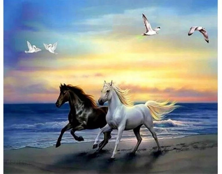 Diamentowa Mozaika Konie Dwa W Galopie Nad Morzem 30x40