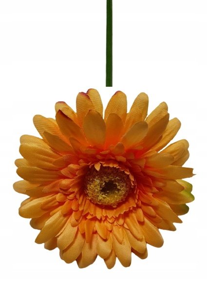 GERBERA GAŁĄZKA HERBACIANY JASNY 46 CM