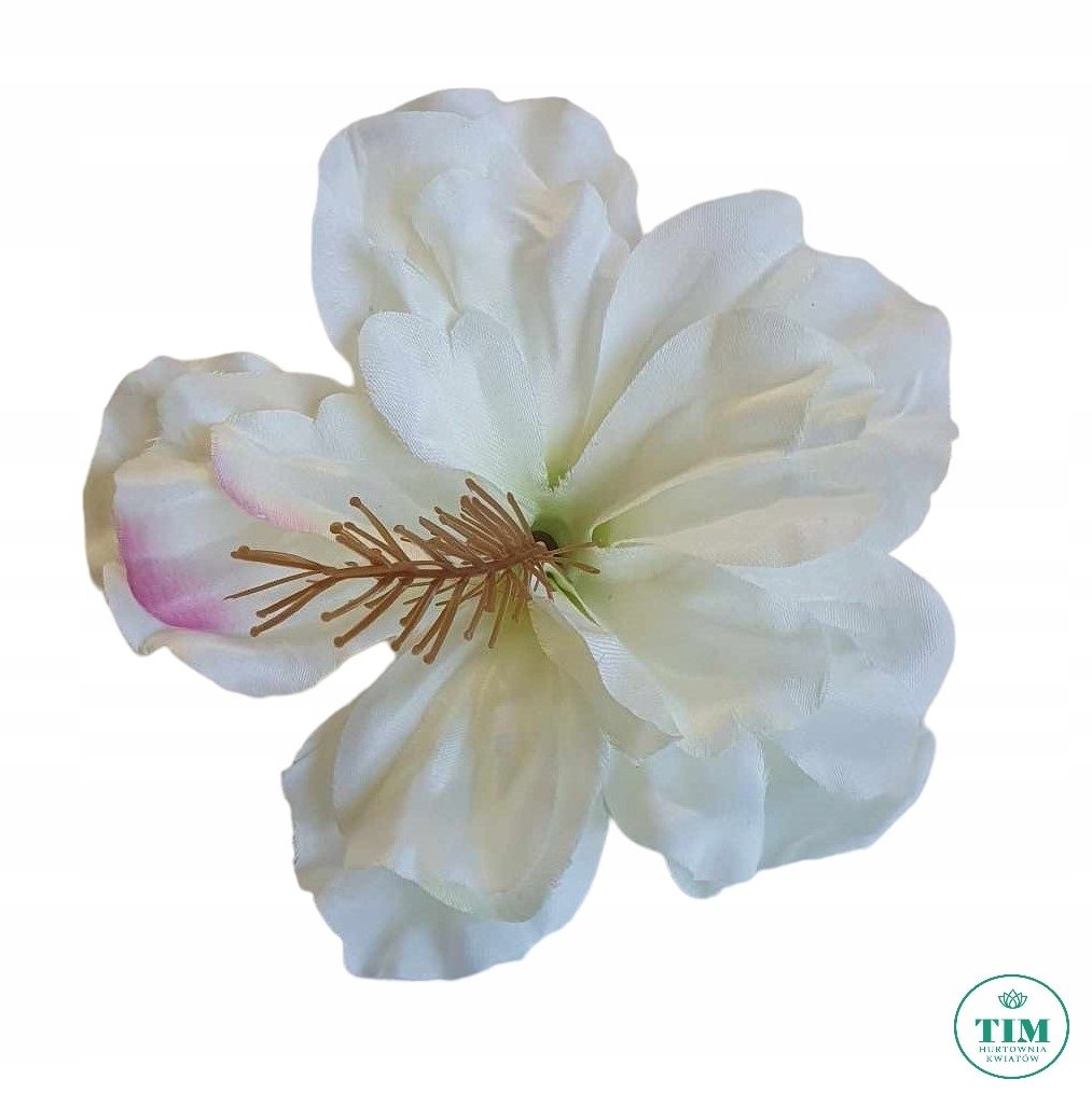 HIBISKUS WYROBOWY KOLOR 2 KREMOWY 24 SZT