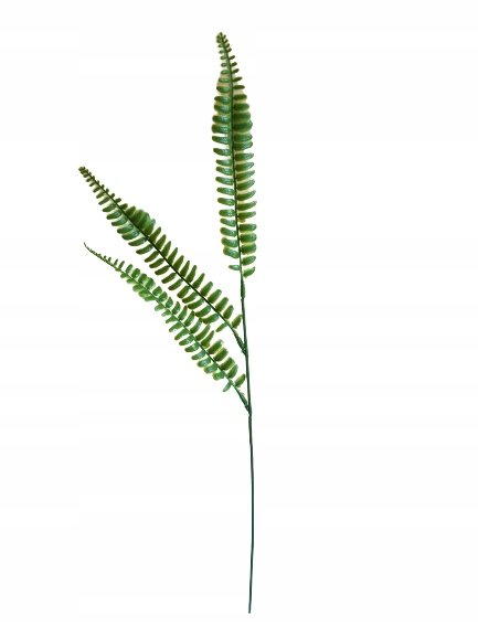 LIŚĆ PAPROĆ GUMOWANY ZIELONY 57CM 12 SZT