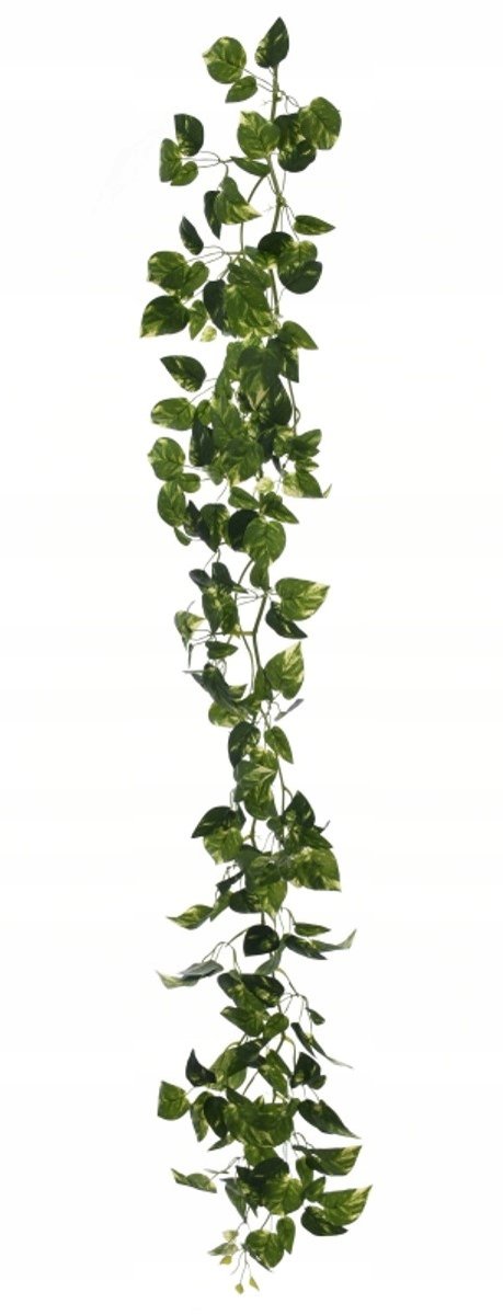 GIRLANDA BLUSZCZ PHOTOS ZIELONY 160 CM