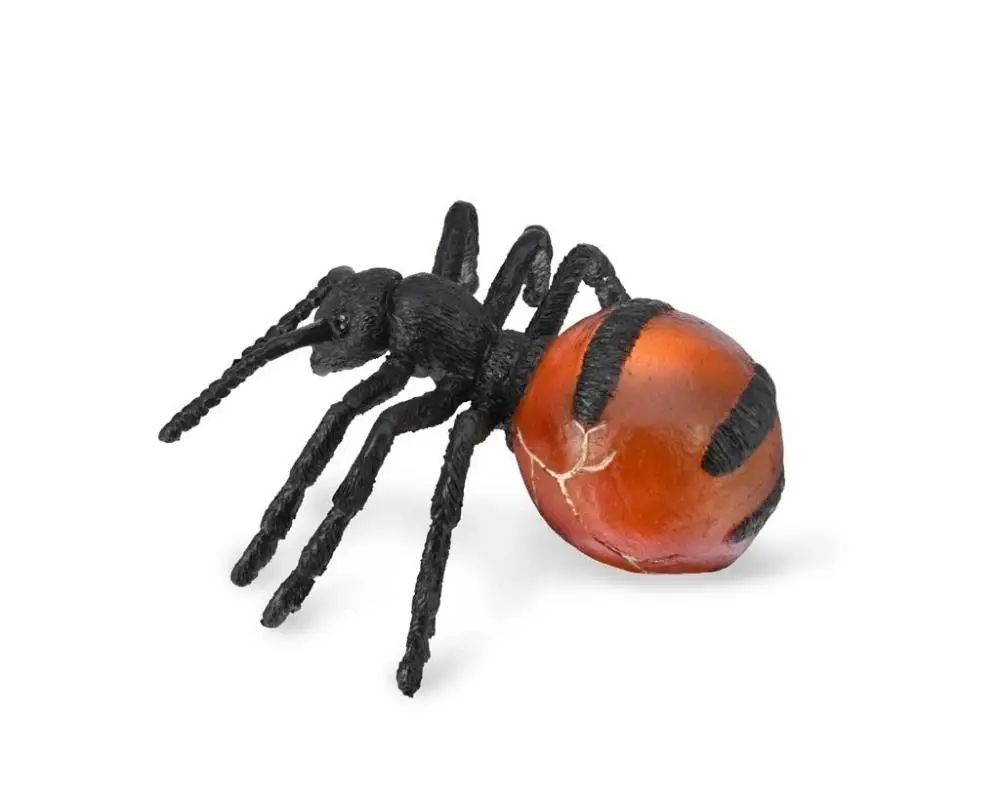 Mrówka miododajna - Collecta