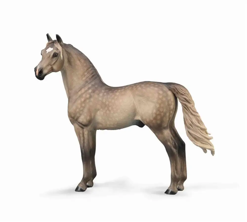 Ogier Morgan maści Silver Grulla - Collecta