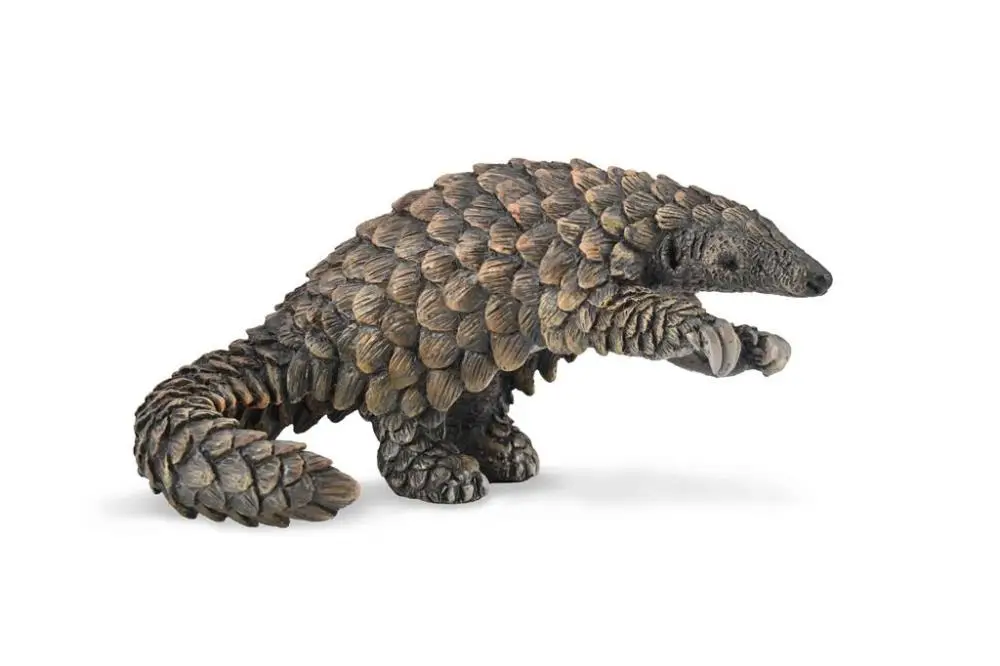 Łuskowiec - Collecta