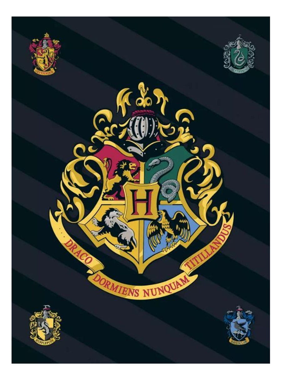 Koc 100x140 Harry Potter polarowy dziecięcy