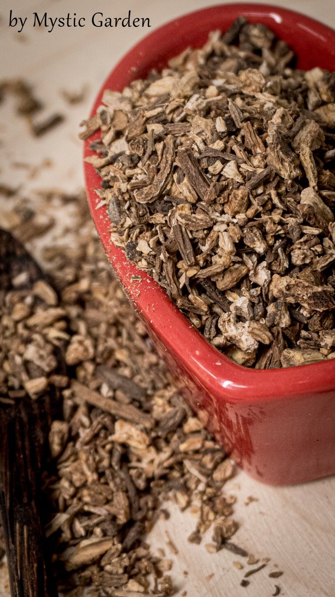 Arcydzięgiel litwor korzeń 250 g certyfikowany