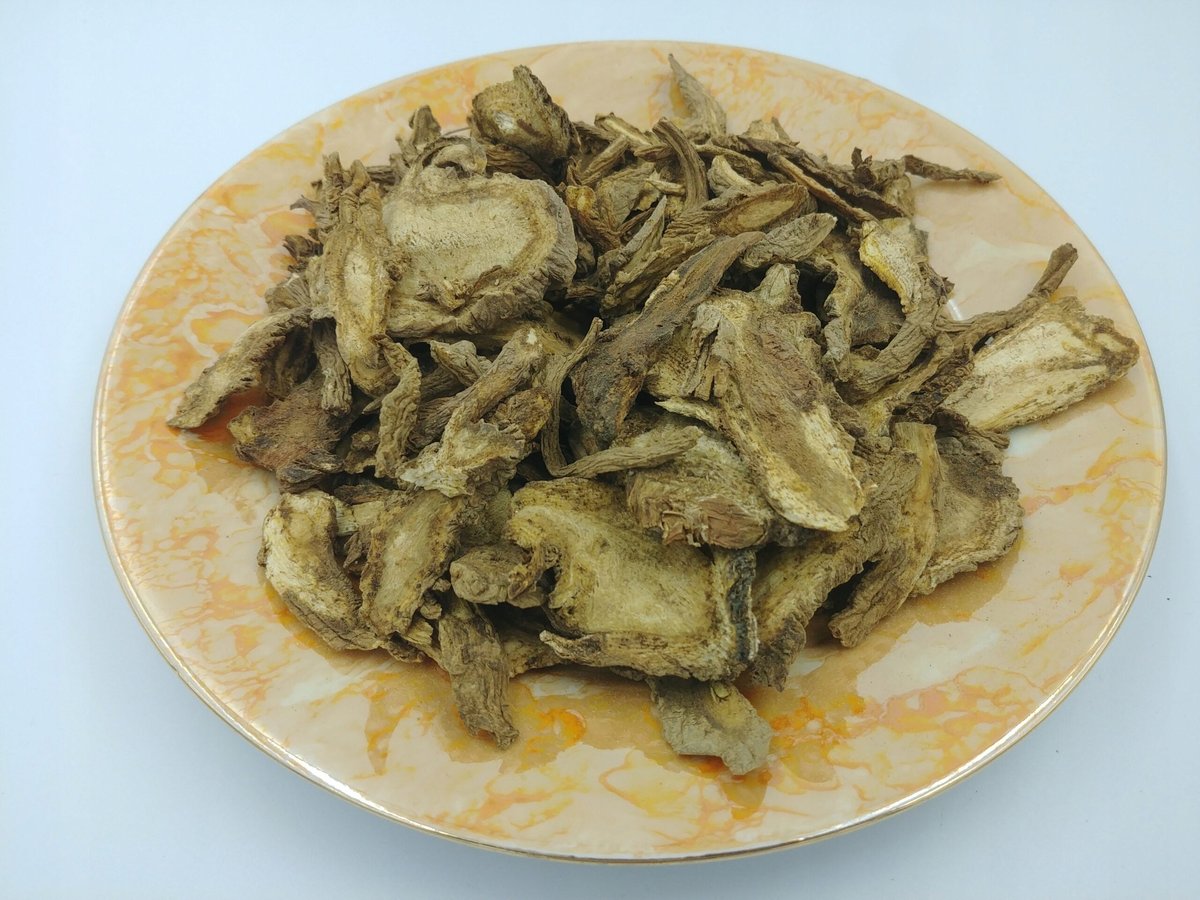 Korzeń dzięgiela omszałego DU HUO 500g