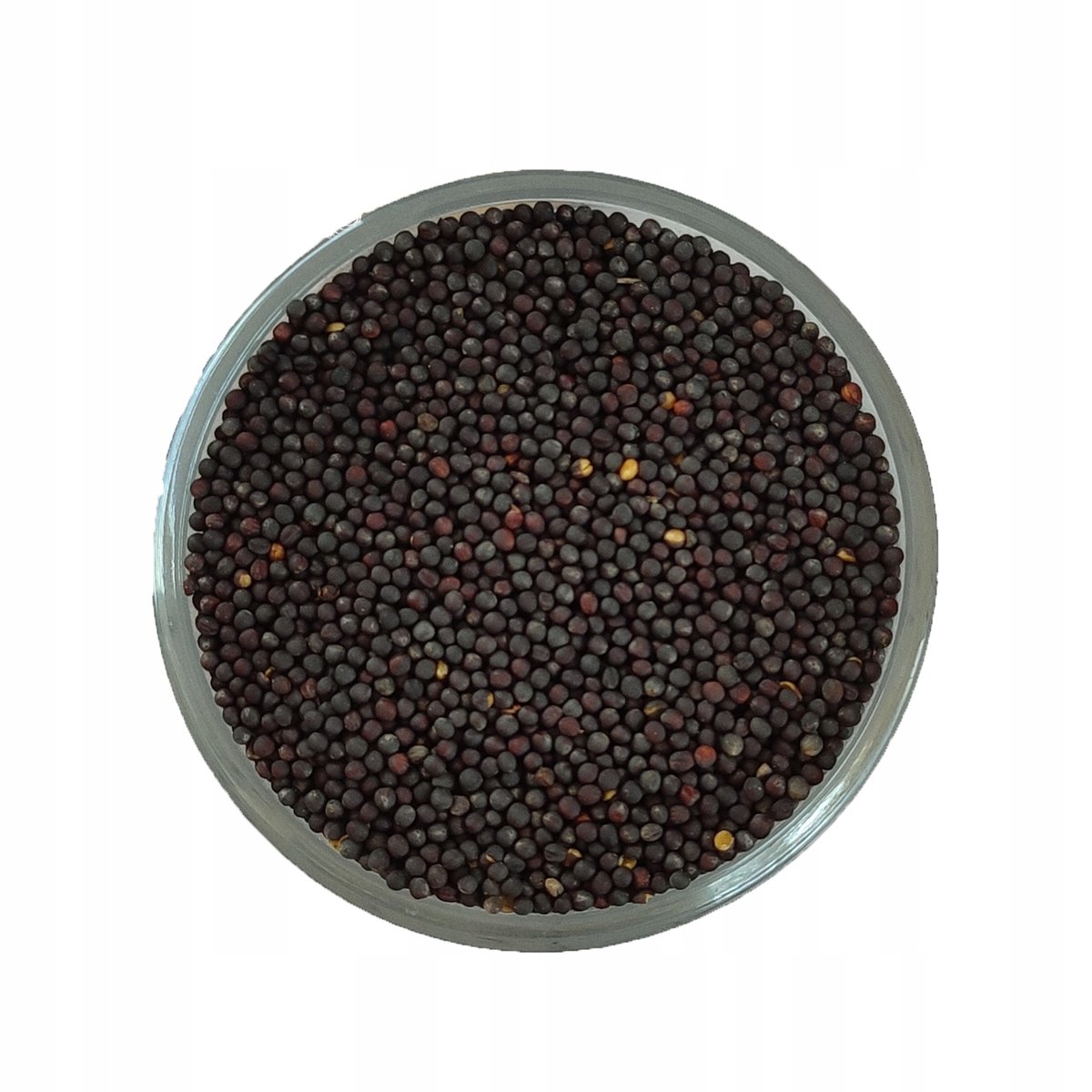 Rzepak nasiono rzepaku ziarno 250 g