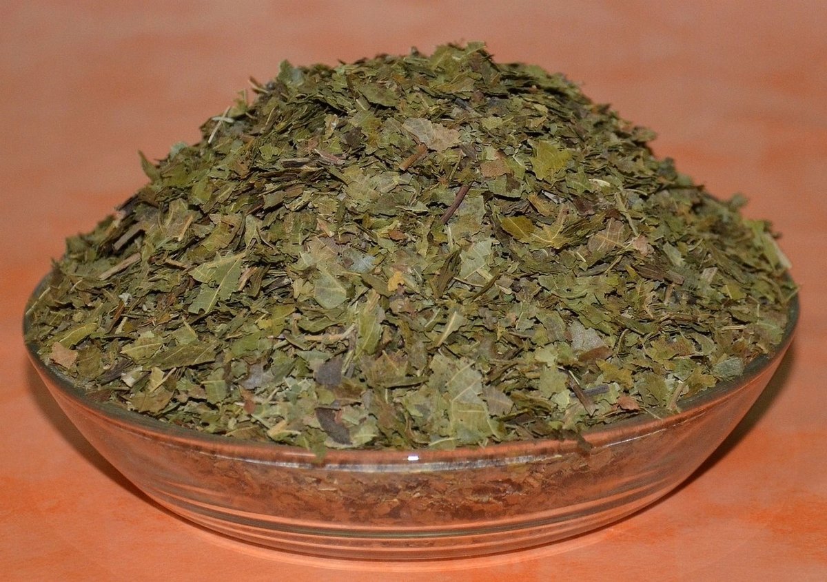 Liść orzecha włoskiego 250 g certyfikowany