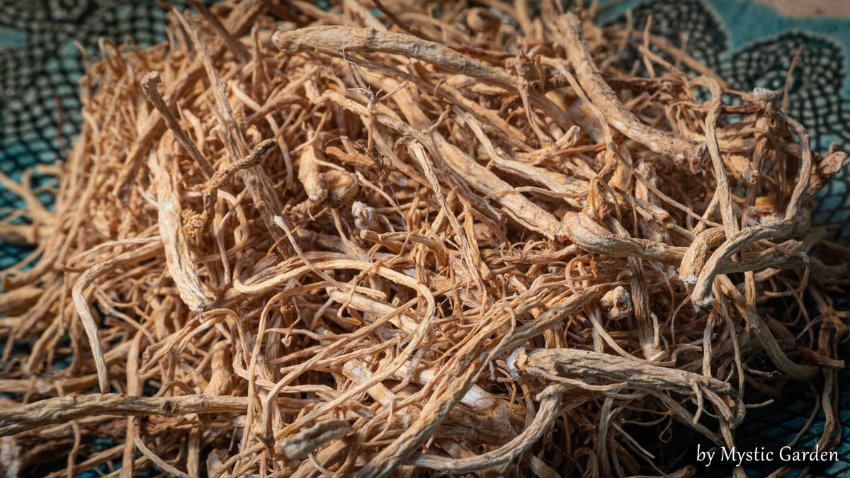 Żeń-szeń (panax ginseng) 25 g korzeń certyfikat