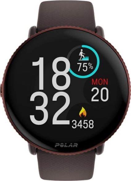 Polar Ignite 3 Titanium M/L Brązowy